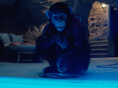 Szympans (2025) - recenzja filmu . Kup sobie małpkę, mówili. Będzie fajnie...