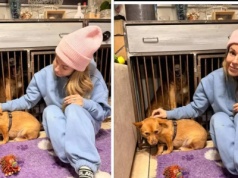 Doda mówi o nękaniu i zapowiada: będę zawiadamiać PROKURATURĘ. O co chodzi?