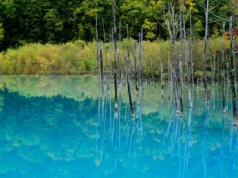 Niemieckie cuda natury. Trzy magiczne miejsca, które naprawdę istnieją