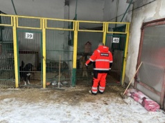 Toruńscy ratownicy wodni zawieźli karmę psom ze schroniska w Ostrowitem. „Chłopaki na medal”