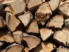 To drewno bije grab i dąb! Tańszy, szybko schnie i grzeje prawie tak samo