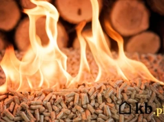 Spieki w kotle na pellet potrafią zabić palnik. Ten prosty trik zatrzyma je na starcie