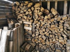 Tyle kosztuje drewno na opał. Ceny w marketach i nadleśnictwach