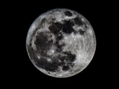 SpaceX zmienia priorytety. Zamiast kolonizacji Marsa – "samorozwijające się miasto" na Księżycu