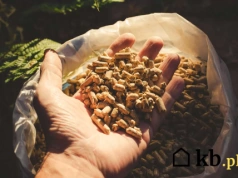 Kupił tani pellet z reklamy. To, co znalazł w workach, przeraziło go