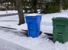 Niebieskie i żółte pojemniki do przemalowania. Inaczej śmieci zostaną pod domem
