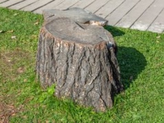 Wsyp do pnia. Usuniesz go bez koparki