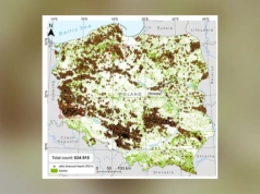 630 tys. stanowisk po wypałach. Tyle miejsc odkryto w Polsce