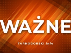 Możliwa toksyna w popularnych produktach dla niemowląt. Pilne ostrzeżenie GIS