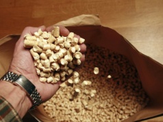 Z czego robi się pellet i dlaczego jest tak drogi? Kryzys i brak surowca