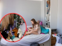 Nastolatka podsumowała, ile wydała na hobby horsing. Suma robi wrażenie