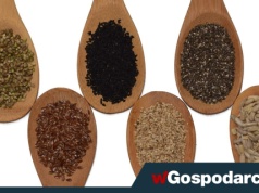 Siemię, babka płesznik, a może nasiona chia – co wybrać?