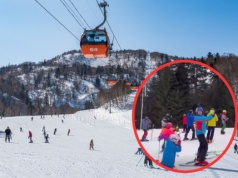 Na stoku zjeżdżały dzieci. Wtem pojawiła się niedźwiedzica z młodymi