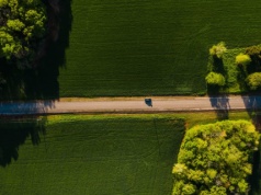 Elektryki miały podbić rynek używanych aut w Polsce. Zamiast tego królują 13-letnie diesle