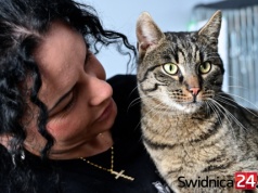 Mruczący podopieczni świdnickiego schroniska zapraszają do wspólnego świętowania Dnia Kota