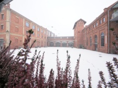 Uczestnicy ferii we Włocławku przenieśli się do krainy luster. „To bardzo dziwne!”