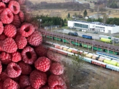 Ukraiński eksport owoców świeżych i mrożonych rośnie wbrew okolicznościom