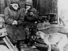 Dramat zesłańców. Do dziś nie wiadomo, ilu Polaków wywieźli Sowieci