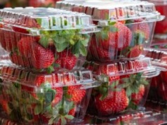 Zobaczył truskawki w sklepie. Zaskoczyła go cena. Ekspert ostrzega