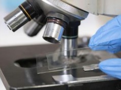 Odkryto najmniejsze bateryjne genomy. Dokonanie polskich naukowców