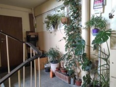 Koniec z automatycznym dziedziczeniem tych mieszkań. Zmiany w prawie