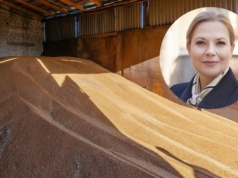 Eksport zbóż i ryzyko Mercosur. "To będzie bardzo wymagający sezon"