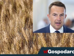 Pellet po 4,5 tys. zł. Rolnicy: "Palić zbożem", rząd odpowiada