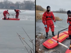 26 martwych łabędzi w okolicach Legnicy. Atak ptasiej grypy?