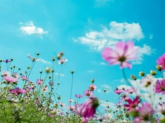 Długoterminowa prognoza pogody dla Polski. Wiemy, jaka będzie Wielkanoc