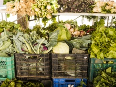 Sytuacja finansowa rolników. Spadek cen skupu i długi ciągną ich w dół