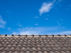 Rzeszów pozbywa się azbestu. Są nowe dotacje