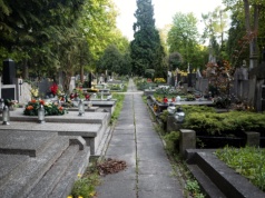 Na dawnym cmentarzu we Włocławku wyrastają skwery, trawniki i drzewa. Prezydent zapowiada ekshumacje