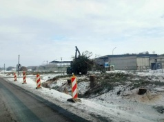 Ruszają prace przy budowie S19 między Kockiem a Radzyniem Podlaskim. Na początek wycinka drzew
