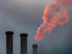 Rola biomasy w polskiej transformacji energetycznej – analiza ryzyk i kierunków zmian