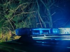 Makabryczne znalezisko. Ludzkie szczątki w rowie