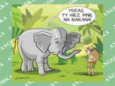 Koniec brutalnej tresury. Bali Zoo kończy przejażdżki na słoniach