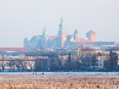 Wylicytowano ślub na Wawelu