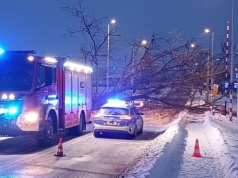 Przewrócone drzewo sparaliżowało ruch. Spadło na jezdnię i przejazd kolejowy