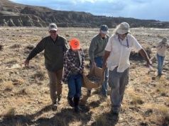 11-latek spacerował z dziadkami. Znalazł skarb sprzed 50 mln lat