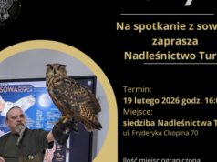 Turek. Nadleśnictwo zaprasza na spotkanie z sowami. Można się zapisywać
