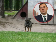 Dopłaty ARiMR na kojce dla psów. Nowy program dla rolników niebawem ruszy