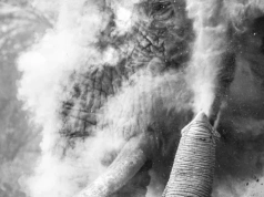 Wybrano najlepsze zdjęcia podróżnicze roku 2025. Wśród laureatów Polak