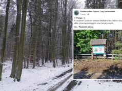 Leśnicy apelują. Doszło do kradzieży