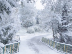 Łyse piękno Małopolski. To tutaj jeden eksperyment ożywił całą wieś, teraz ma już 700 lat