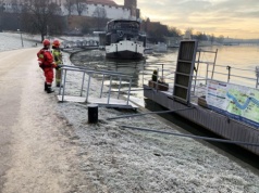 Sarna na krze lodowej pod Wawelem. Strażacy ruszyli na pomoc