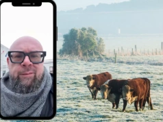 „Rano idziemy do obory z obawą”. Ataki tuż przy domach rolników