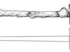 Miecz, który mógł należeć do angielskiego królewicza Magnusa, na wystawie w Muzeum Archeologicznym w Warszawie