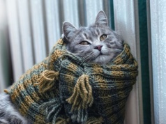 URE zatwierdził nowe taryfy za gaz. Zdejmij szalik w domu, nie zbankrutujesz