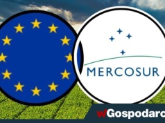 Hodowcy boją się umowy z Mercosur