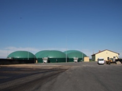 37 miliardów złotych na zieloną rewolucję. NFOŚiGW przyspiesza transformację